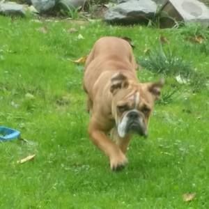 Meet your Posher, Anthony